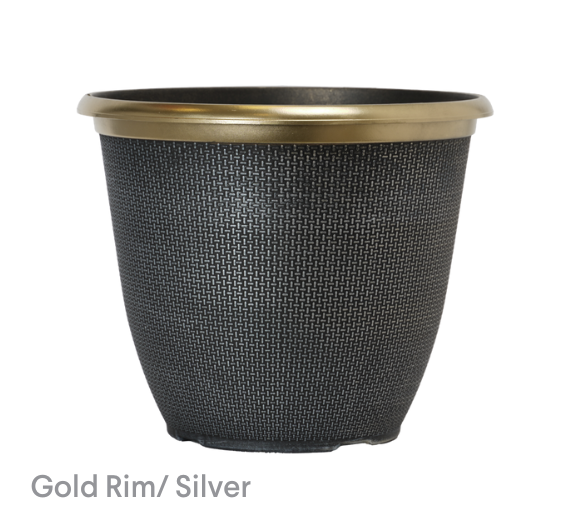 image of Gold Rim Silver planter